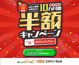 エネワンでんき