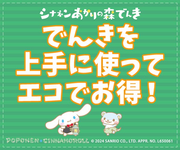 シナネンでんき