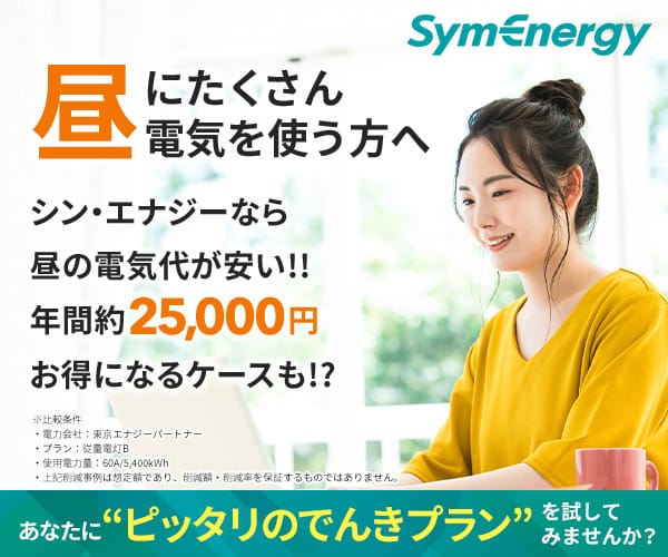 シン・エナジー